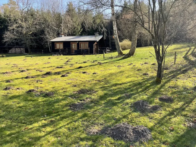 Intervention Bio Taupe 1