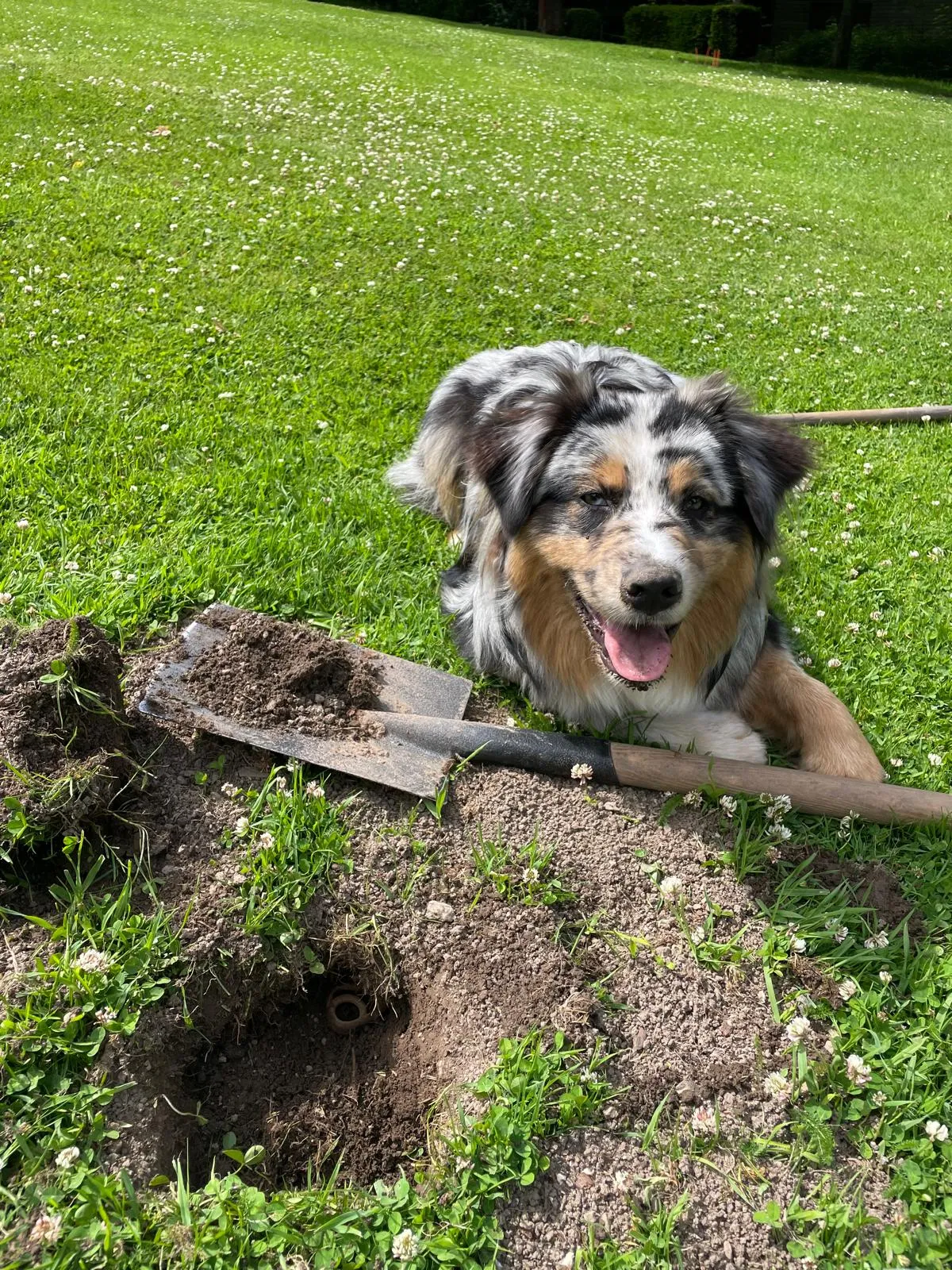 Intervention Bio Taupe 2