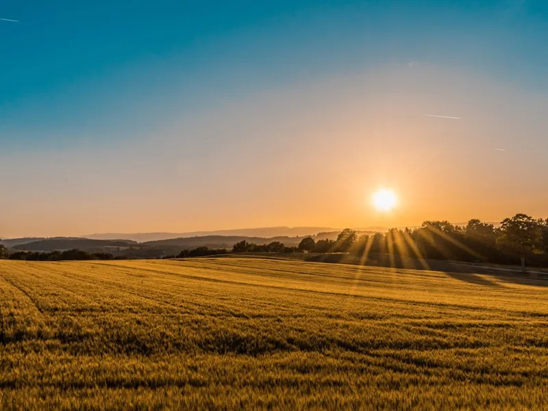 Intervention Bio Taupe 6